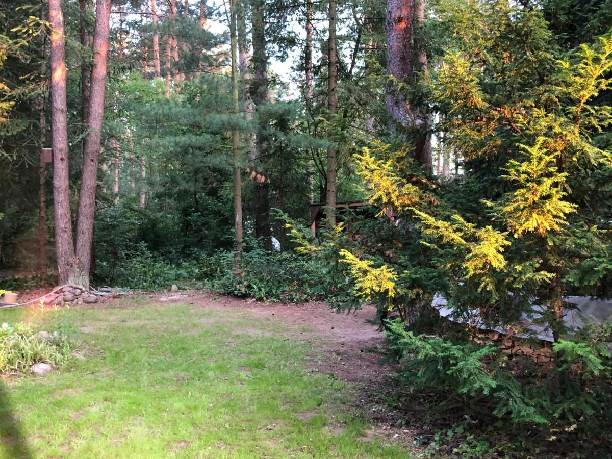 Ferienhaus Reetdach 1300Qm Privatgrundstueck Bootssteg Sauna Templin Luebbesee Uckermark Erholung Pur Seenplatte Petersdorf (Uckermark) Exterior foto